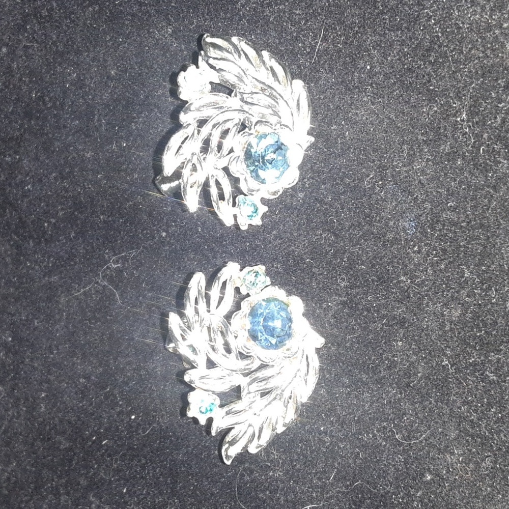 Elegant Silver Tone and Blue Earrings